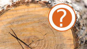 Seasoned Firewood Question