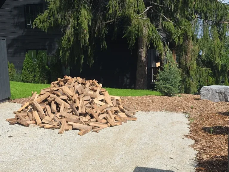 a pile of mixed hardwood on a gravel driveway